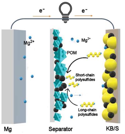 pure taboo polar opposites|Inhibiting Shuttle Effect and Dendrite Growth in Sodium–Sulfur .